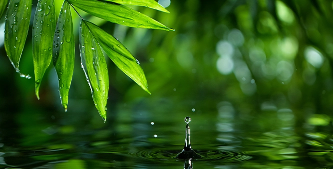 Papier hygiénique AquaStream